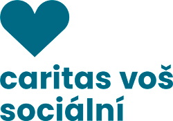 LOGO_VS_23531